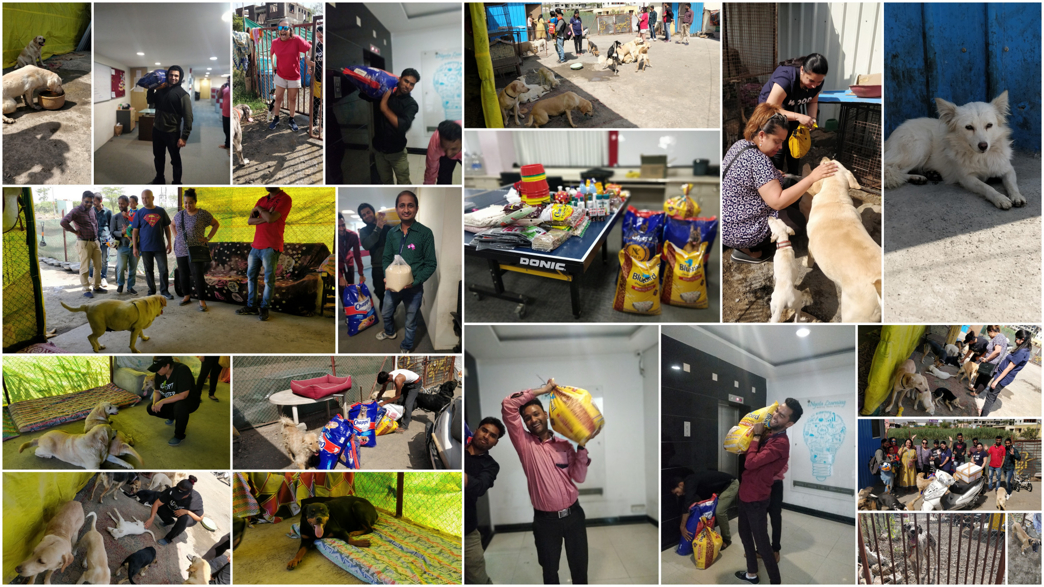 Csr_Dog-Shelter Csr Activities