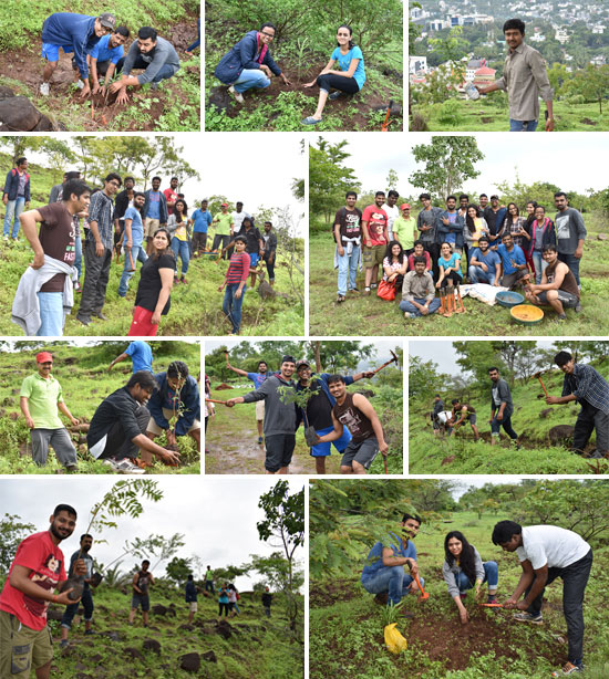Tree-Plantation Csr Activities