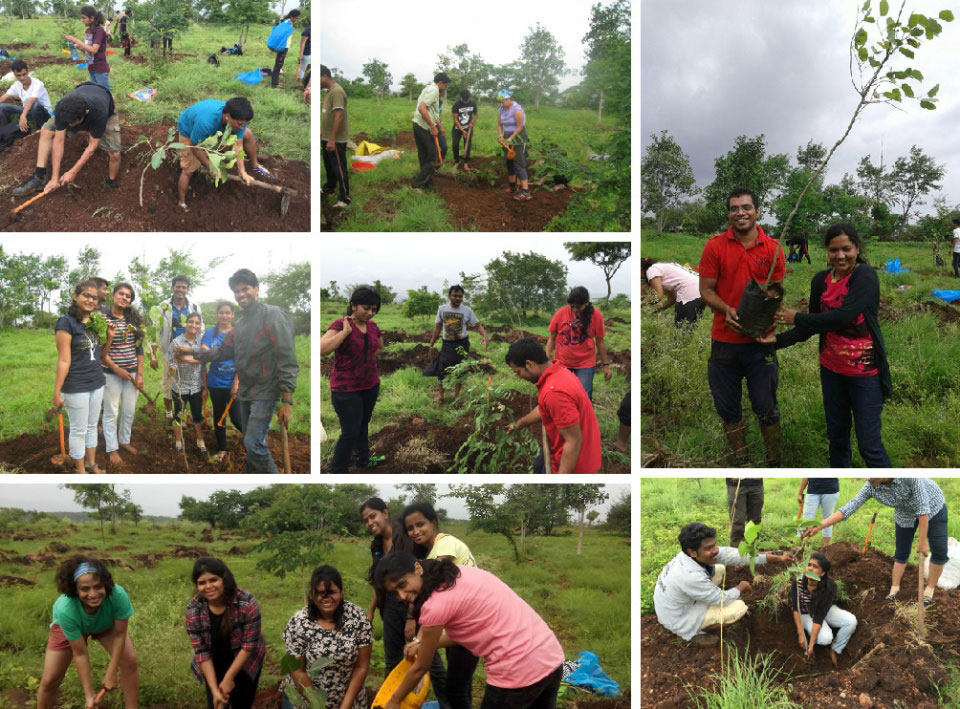 Tree-Plantation2-960×709 Csr Activities