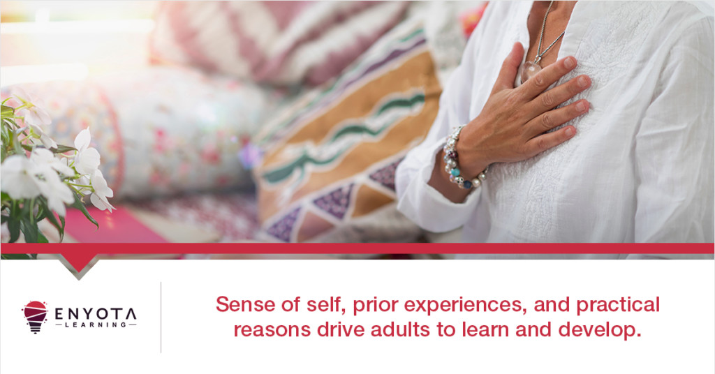 Adult Learning Theory - Understanding The Unique Needs Of Adult Learners